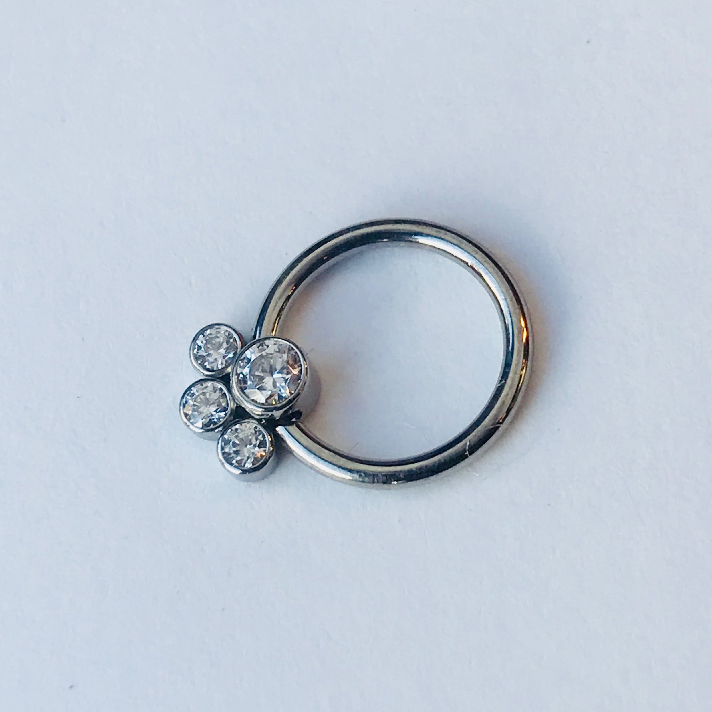 Anatometal 2025 nose ring