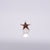 BVLA Flat Star Pushpin End