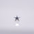 BVLA Flat Star Pushpin End